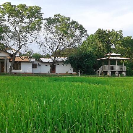 Hotel Willpattu Wild Watch Habawewa Exteriér fotografie