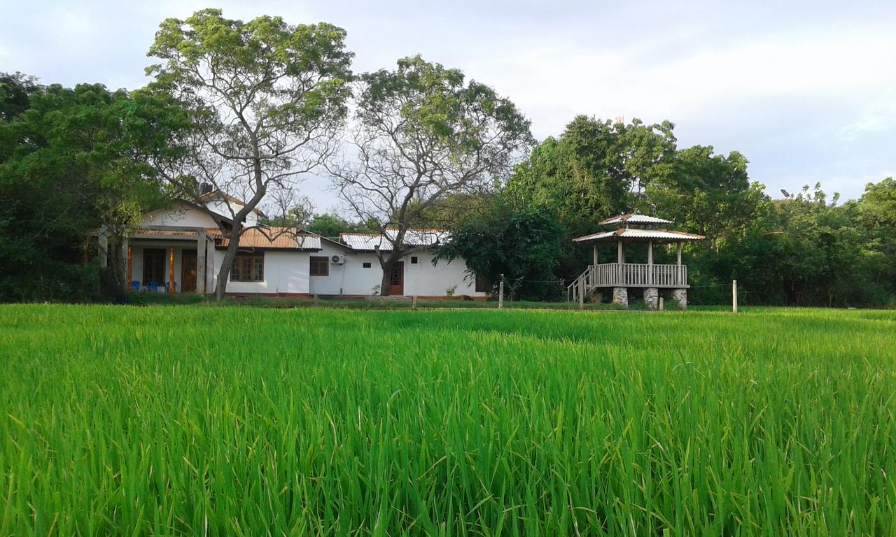 Hotel Willpattu Wild Watch Habawewa Exteriér fotografie