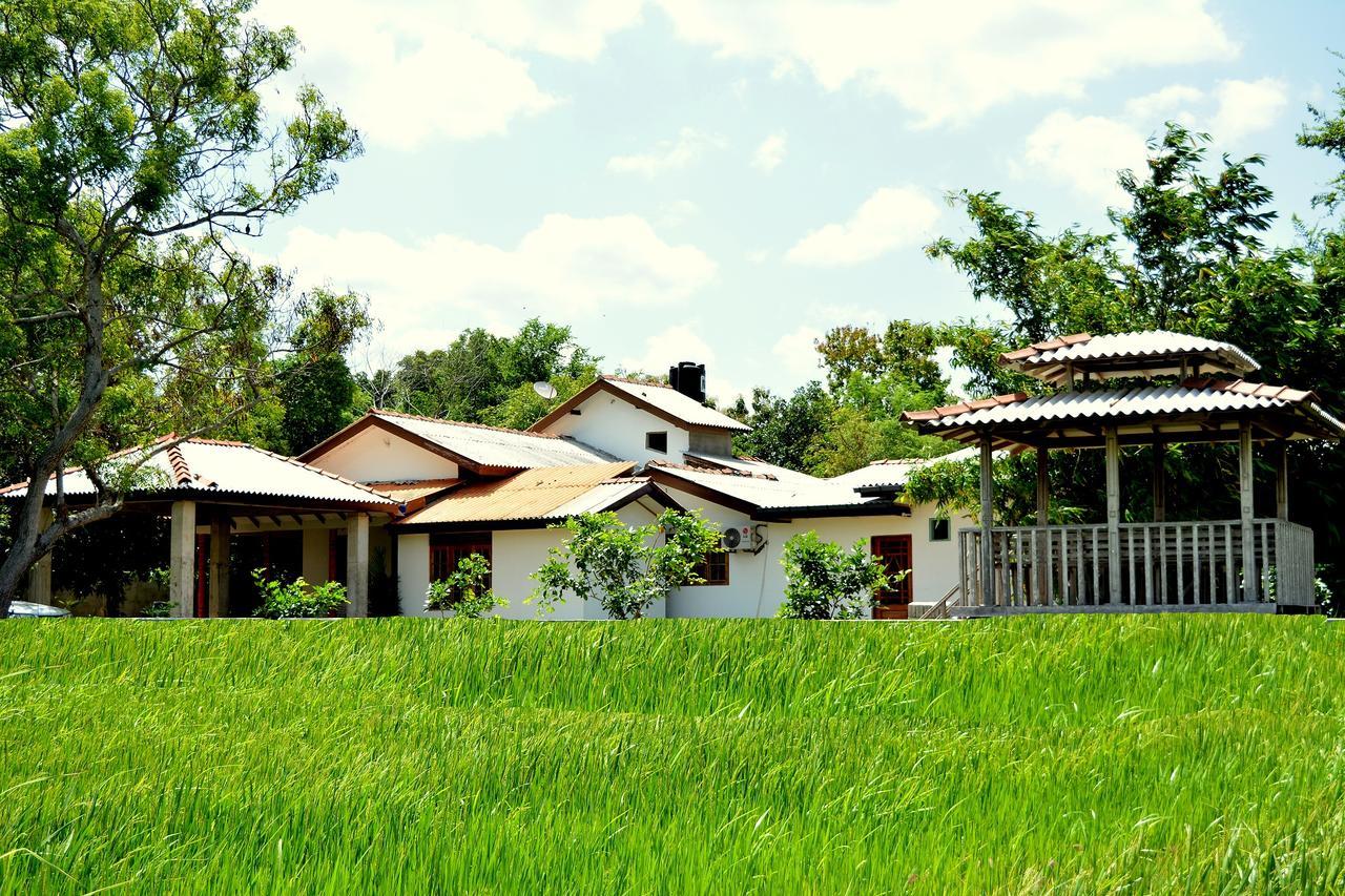Hotel Willpattu Wild Watch Habawewa Exteriér fotografie